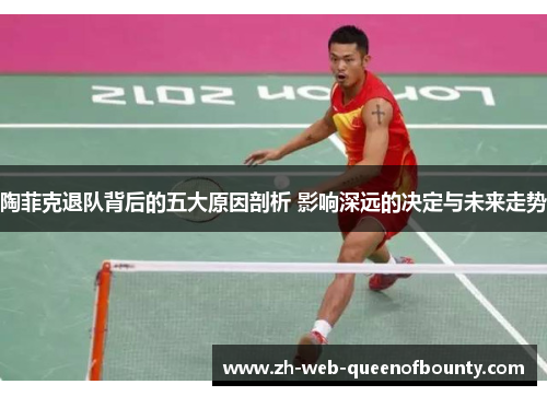 陶菲克退队背后的五大原因剖析 影响深远的决定与未来走势