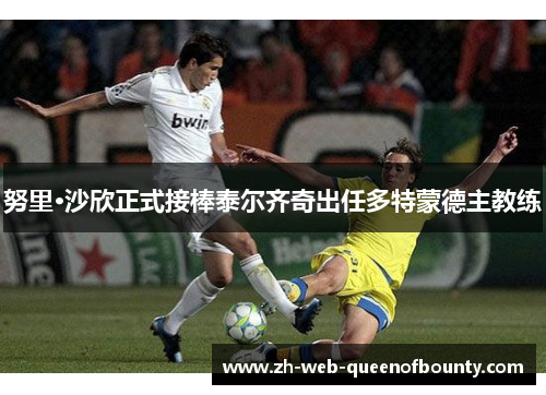 努里·沙欣正式接棒泰尔齐奇出任多特蒙德主教练