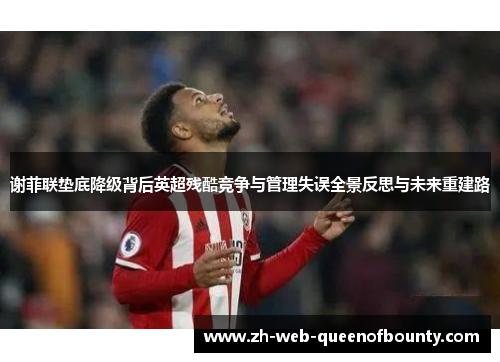 谢菲联垫底降级背后英超残酷竞争与管理失误全景反思与未来重建路